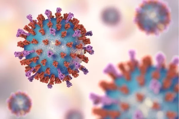 Image for article titled Respiratory Syncytial Virus (RSV)